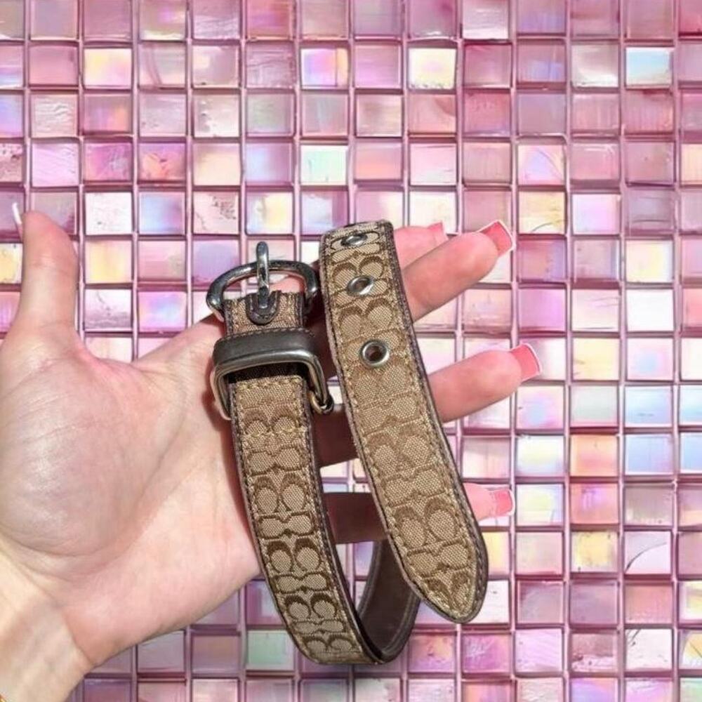 Coach brown leather dog collar